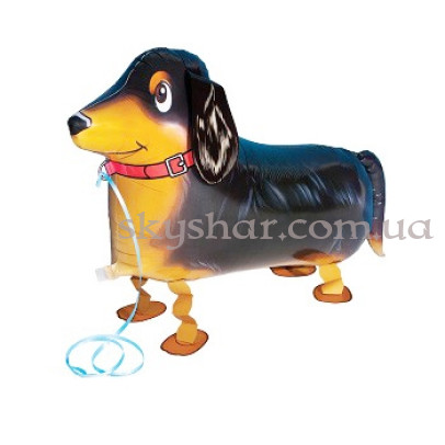 Ходяча кулька собака "Такса" – фото 1