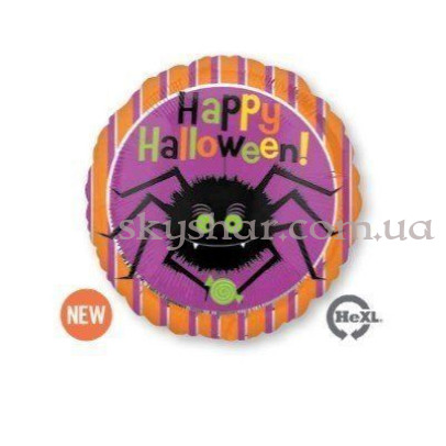 Паучок милый – фото 1 Паучок милый – фото 1