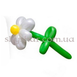 Опция Ромашка из шаров на стебле – фото 7 Опция Ромашка из шаров на стебле – фото 7