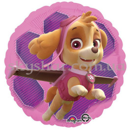 Опция Фольгована кулька коло "Подружки Чейза" – фото 21