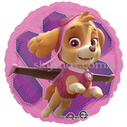 Фольгована кулька коло "Подружки Чейза" – фото 1 Фольгована кулька коло "Подружки Чейза" – фото 1