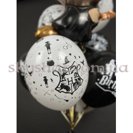 Гелієві кульки "Гаррі Поттер на білому" (30 см) – фото 14