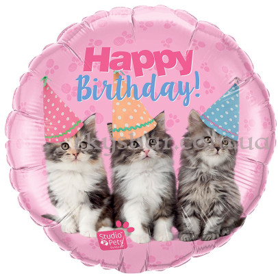 Фольгированный шар "Happy B-Day Котята" – фото 1