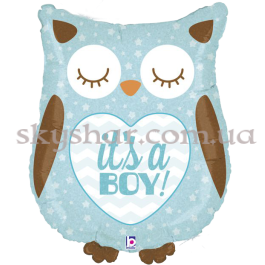 Опция Фольгированный шар "Сова Это мальчик" – фото 17