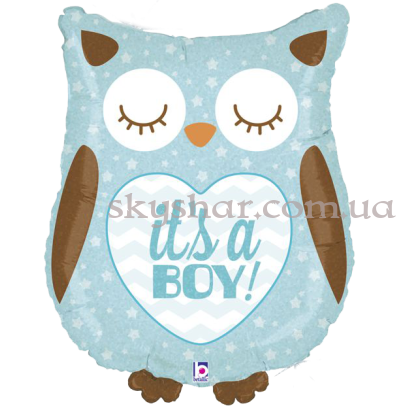 Фольгированный шар "Сова Это мальчик" – фото 1 Фольгированный шар "Сова Это мальчик" – фото 1