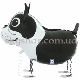 Ходячий шар "Собака Бостон-терьер" – фото 28