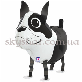 Опция Ходяча кулька "Собака Бостон-тер'єр" – фото 27
