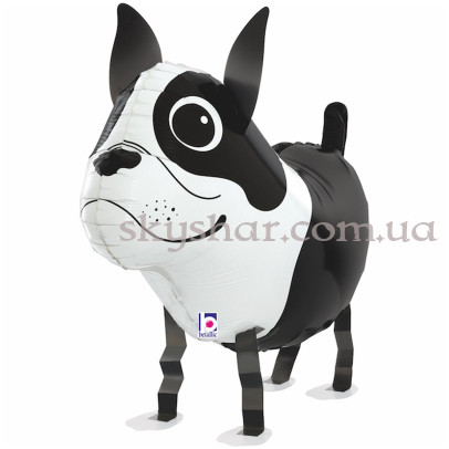 Ходяча кулька "Собака Бостон-тер'єр" – фото 1
