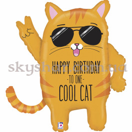 Опция Фольгована кулька фігура "Крутий Кіт Happy Birthday" – фото 8 Опция Фольгована кулька фігура "Крутий Кіт Happy Birthday" – фото 8