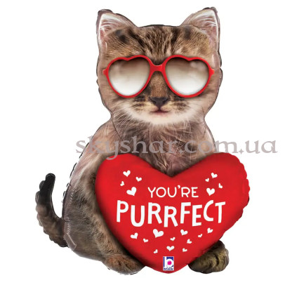 Фольгированный шар "Котенок в очках You're Perfect" – фото 1
