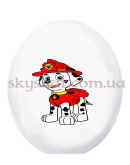 Гелиевые шары "Щенячий Патруль" (35 см)  – фото 5