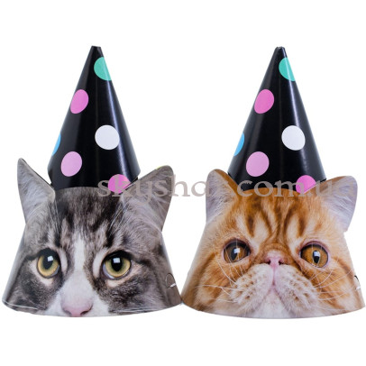 Ковпак "Котики фотографічні" 6 шт. – фото 1