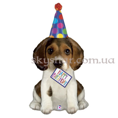 Фольгированный шар "Собака в колпаке Happy Birthday" – фото 1