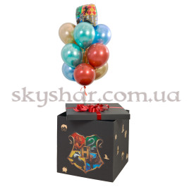 Опция Коробка сюрприз с шарами "Гарри Поттер" – фото 3