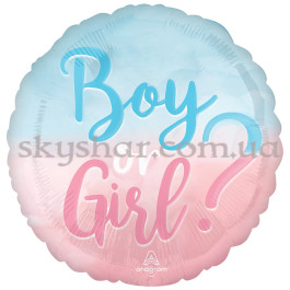 Опция Фольгированный шар круг "Boy or Girl Перелив" (Мальчик или Девочка?) – фото 23 Опция Фольгированный шар круг "Boy or Girl Перелив" (Мальчик или Девочка?) – фото 23