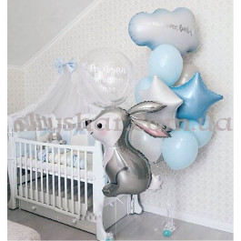 Опция Комплект шаров на выписку "Первый друг малыша" – фото 8 Опция Комплект шаров на выписку "Первый друг малыша" – фото 8