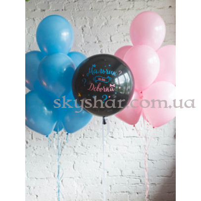 Комплект кульок на гендер паті "Мальчик или девочка" – фото 1