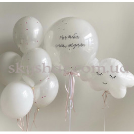 Опция Шары на выписку из роддома "Мы тебя очень ждали" – фото 21