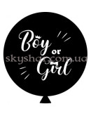 Шарик на определение пола "Boy or Girl белая надпись" с гелием 60 см – фото 2
