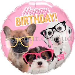 Опция Фольгована кулька "Happy Birthday Цуценята в окулярах" – фото 21 Опция Фольгована кулька "Happy Birthday Цуценята в окулярах" – фото 21