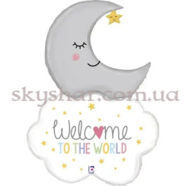 Опция Фольгированный шар "Добро пожаловать в этот мир, малыш" – фото 17