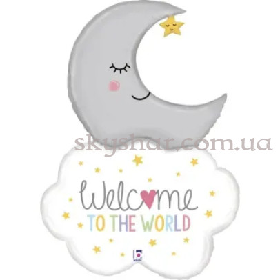Фольгована кулька "Ласкаво просимо в цей світ, малюк" – фото 1