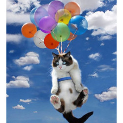 Сколько поднимает гелиевый шарик